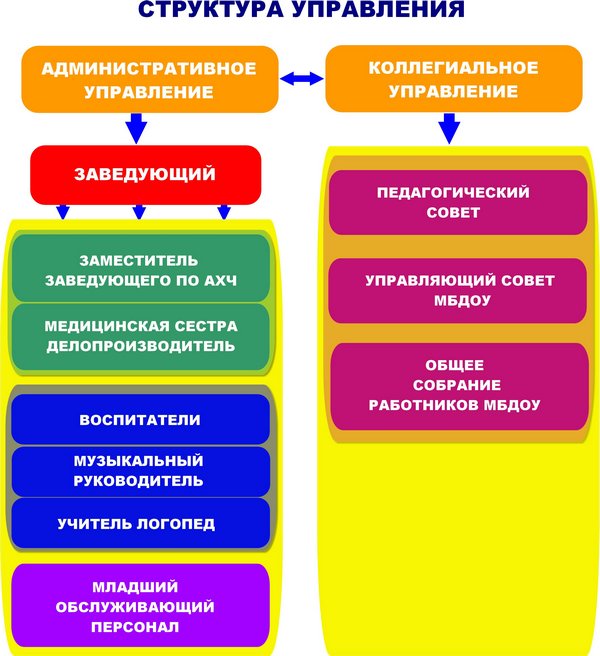  структура и органы управления ДОУ 